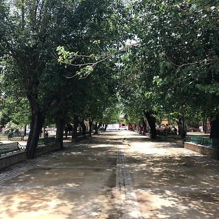 プエルト・レアル Casa Bahia De Cadizヴィラ エクステリア 写真